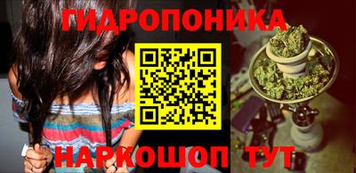 твердый Сланцы