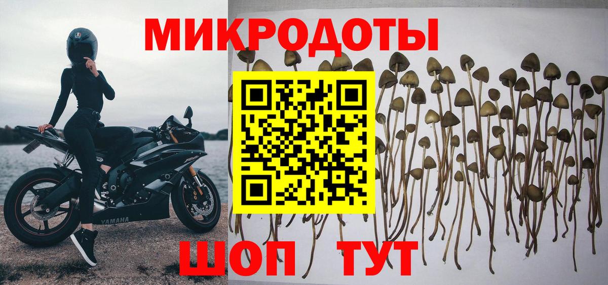 Псилоцибиновые грибы MAGIC MUSHROOMS Новороссийск