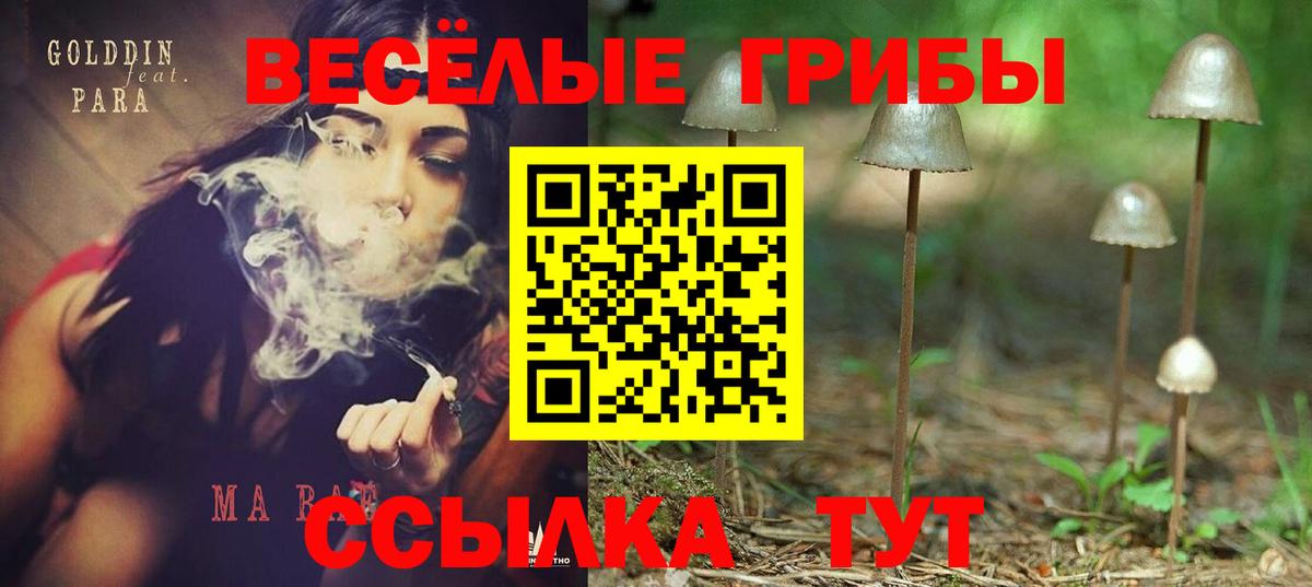 Псилоцибиновые грибы прущие грибы  Вход с VPN  где найти наркотики  Новороссийск 